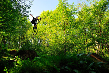 Fototapeta na wymiar cyclist in the forest