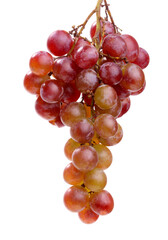 red grapes isolated on white