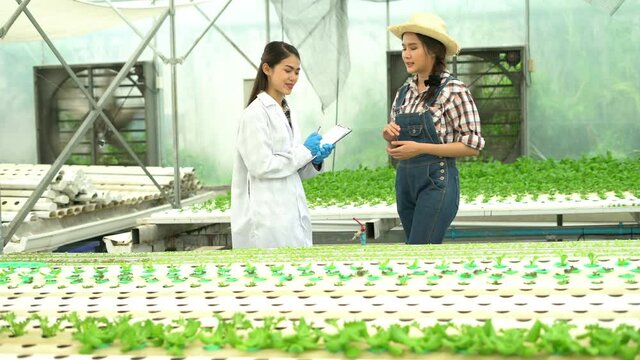 Smart farm,sensor technology,smart agriculture concept.Smart young asian farmer girl using tablet to check quality and quantity of organic hydroponic vegetable garden at greenhouse in morning.