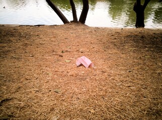 mask thrown in park by the lake