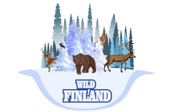 Wild Finland With Wild Animals,Vector Finland Winter Forest  With Bear, Reindeer And Elk