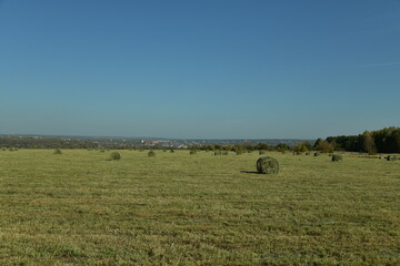 hay in rolls in a field near the city