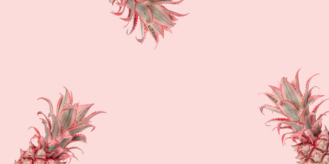 Tropical Pineapples background. Creative summer arrangement pastel pink colored with decorative plant.