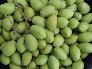 Fresh elaeocarpus hygrophilus kurz the fruit is astringent and sweet and sour.