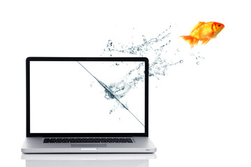 Goldfish jump out of the monitor on white background.