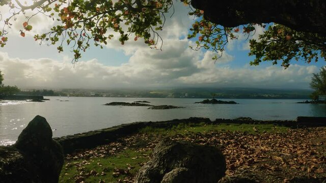 Peaking through the Koa Trees of Hawaii into Hilo Bay. Waters move slowly. Captured in 4K.