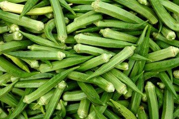 Fresh ladyfinger at vegetable market in Tamilnadu, India.