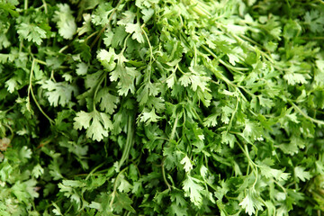 parsley leaves at market.