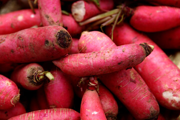 Red Radish in a market stall at India.