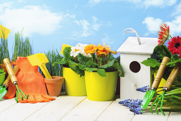 Gardening tools and flower pots with blooming plants on white wooden terrace in the garden. Spring or summer concept. Spring cleaning and housework. Birdhouse nest box. Copy space