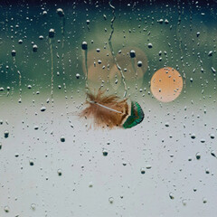 Water drops on glass and small feather. Rain outside window on rainy summer or autumn day. Texture of raindrops, wet glass.