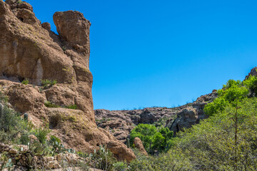 An overlooking view of nature in Boyce Thompson Arboretum SP, Arizona