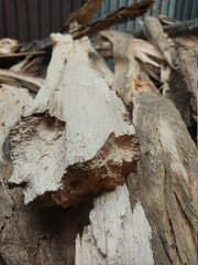 die wood texture background. topview.texture background