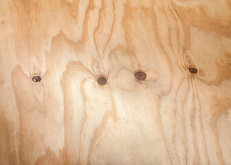 Natural Pine wood textured background natural texture with spots