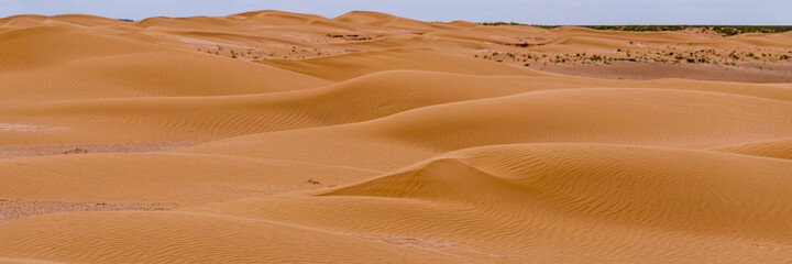 Bend of the ridge of a sand dune in the desert