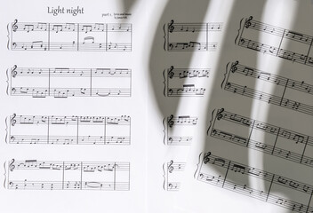 Paper sheets with music notes, closeup