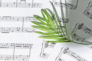 Paper sheets with music notes and green leaf, closeup