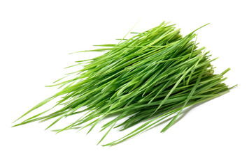 Fresh green wheatgrass on white background