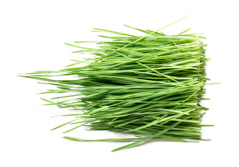 Fresh green wheatgrass on white background