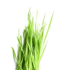 Fresh green wheatgrass on white background