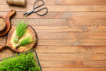 Fresh wheatgrass and seeds in bowl on wooden background