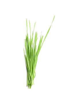 Fresh green wheatgrass on white background
