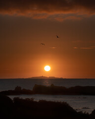 Sunrise on the isle of May