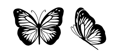 Graphic flying black and white butterflies. Vector illustration. Tropical butterfly on a white background