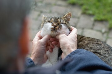 Senior man tenderly caressing cute cat