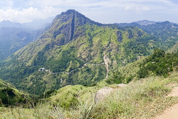 Naklejka premium Mountain peak among thickets of forest in the jungle in Sri Lanka.