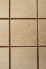 Floor tiles (beige, brown)