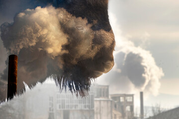 Wild bison and factory smoke. © erika8213