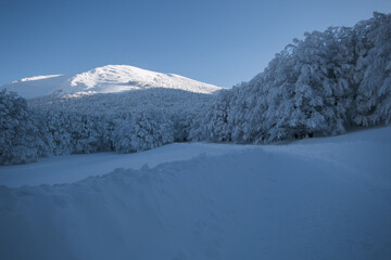 Winter wonderland in the regional park of Monte Cucco with many snow, Umbria, Italy