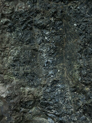 愛知県･鳳来寺山･松脂岩