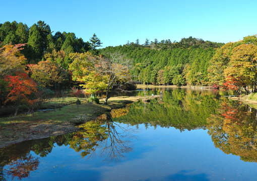 愛知県･段戸湖
