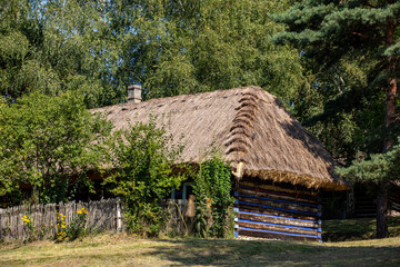 Fototapeta na wymiar Wooden rural cottage from the 19th century in heritage park. Open-air museum Nadwislanski Ethnographic Park in Wygiezlow. Malopolska, Poland