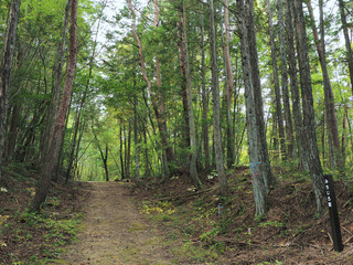 岐阜県･中山道
