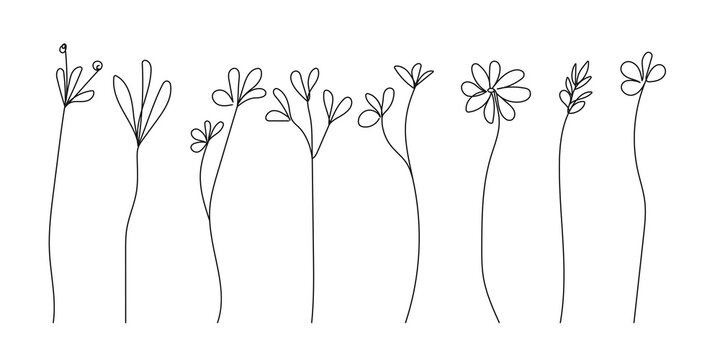 Continuous Line Drawing Set Of Flowers Black Sketch Isolated on White Background. Flowers One Line Illustration. Minimalist Prints Set. Vector EPS 10. © Наталья Дьячкова
