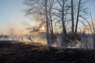 Obraz na płótnie Canvas Wildfire and smoke