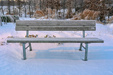 frozen empty park bench standing in Kumla Park