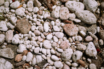 A collection of several white and brown rocks. Equipped with sand on the beach
