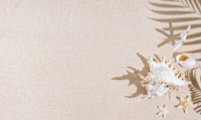 Fototapeta na wymiar White Sea shells and star fish on sand and palm tree shadows. Tropical background