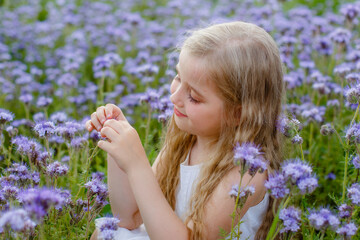 portrait of a little girl in a purple field with flowers