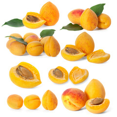 Set of images of apricot on a white background. Full depth of field. With clipping path