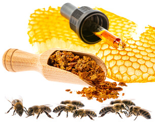 propolis tincture and a wooden spoon of propolis granules