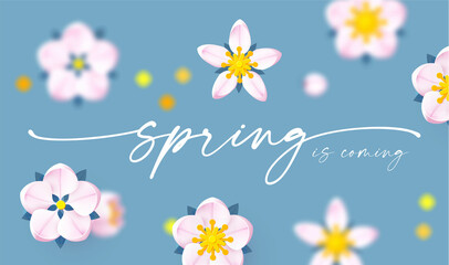 Spring background with soft flowers, bees and butterflies. Spring is coming design with apple and cherry blossom branch