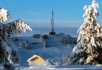 A radio station at the top of the mountain seen among the fir trees
