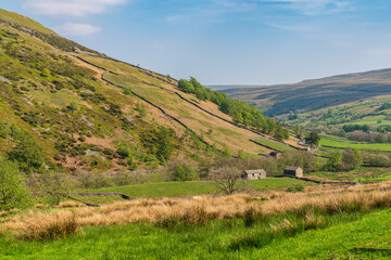 Fototapeta na wymiar Swaledale landscape between Keld and Thwaite, North Yorkshire, England, UK