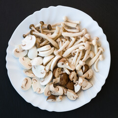 Plate with mushrooms of different types. View from above on black background.