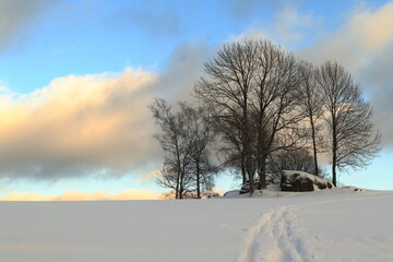 trees on the horizon of a snowy landscape with clouds